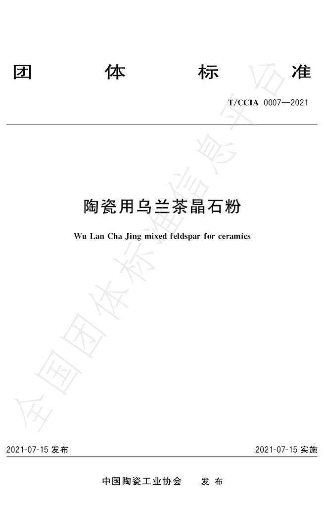 T/CCIA 0007-2021 标准预览