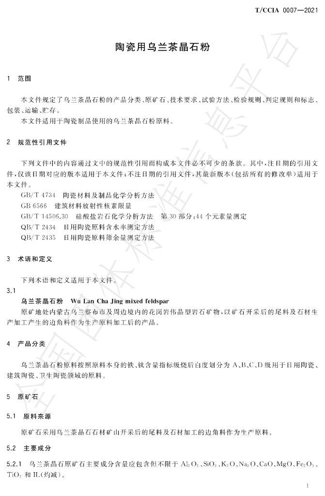 T/CCIA 0007-2021 标准预览