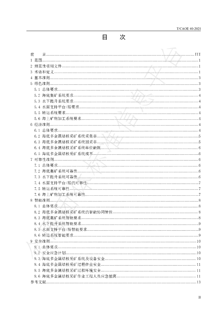 T/CAOE 40-2021 标准预览