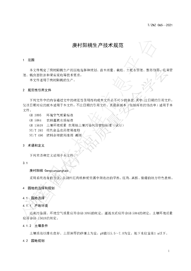 T/ZNZ 065-2021 标准预览