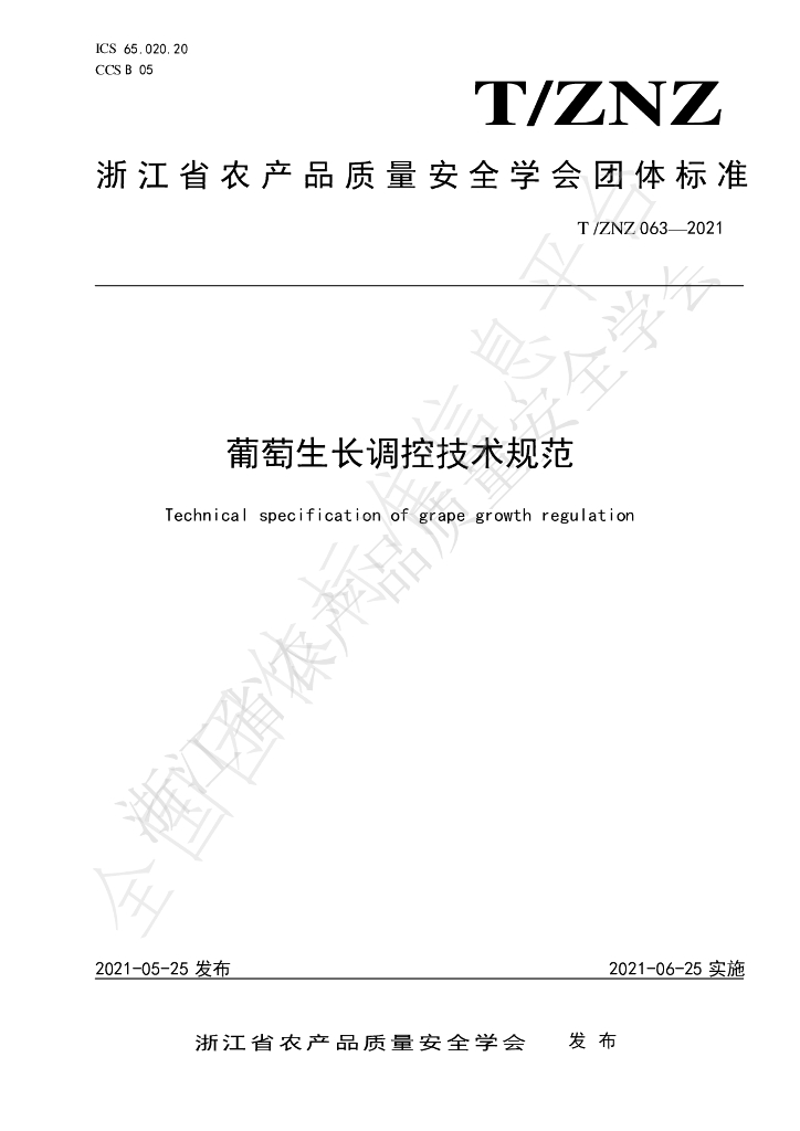 T/ZNZ 063-2021 标准预览