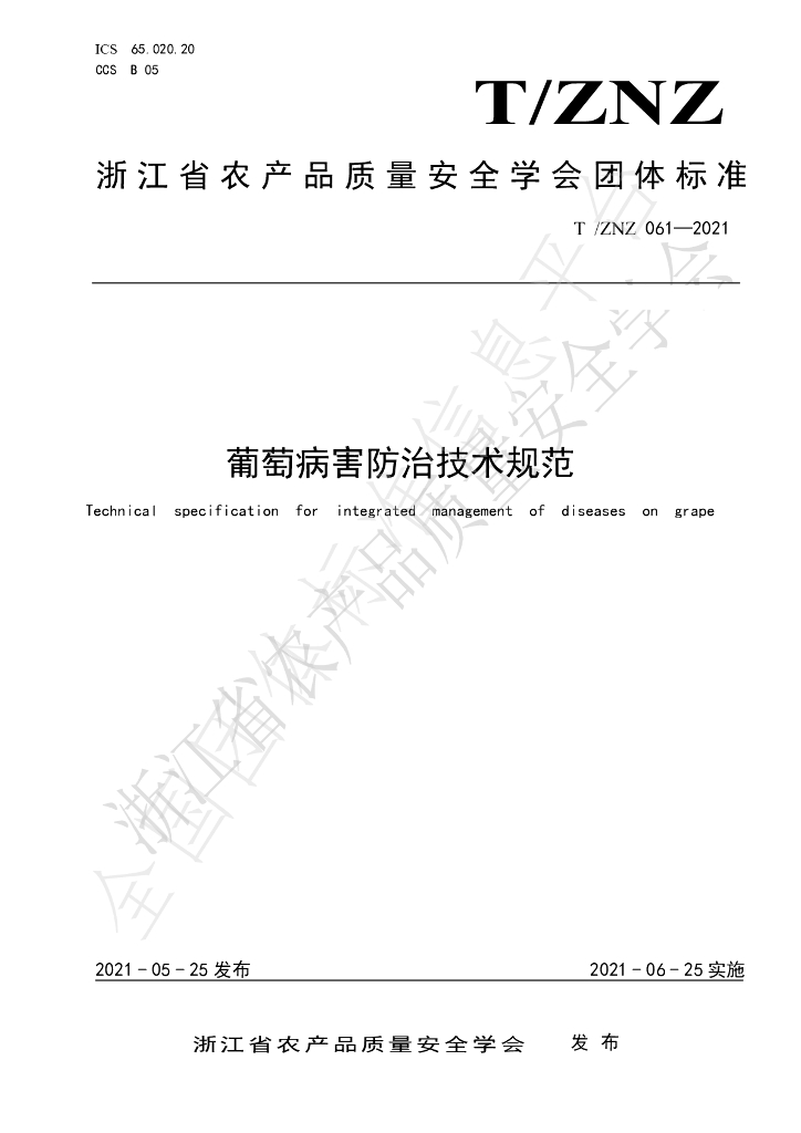 T/ZNZ 061-2021 标准预览
