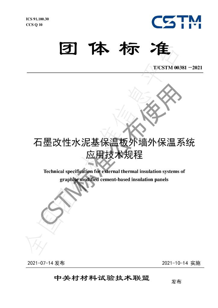 T/CSTM 00381-2021 标准预览