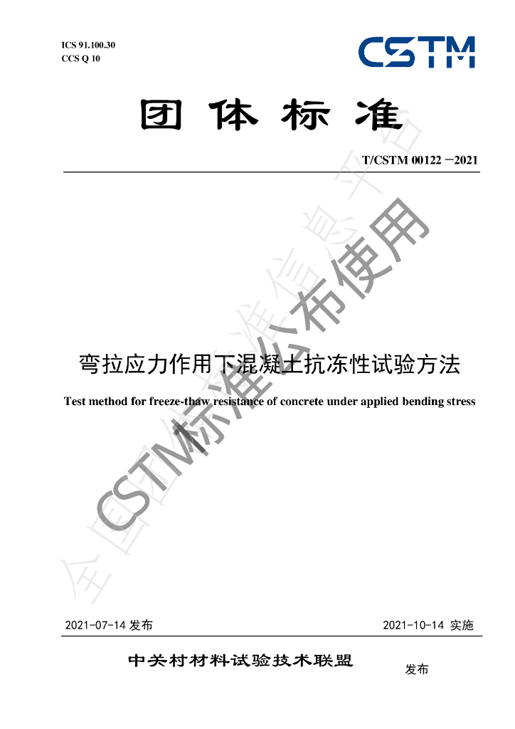 T/CSTM 00122-2021 标准预览