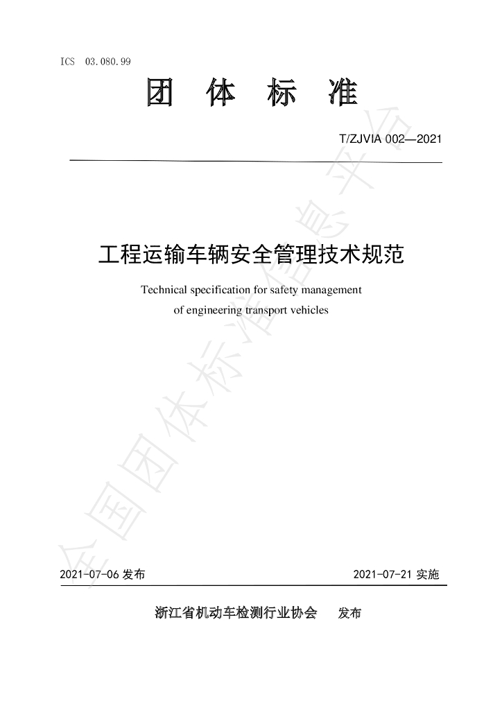 T/ZJVIA 002-2021 标准预览