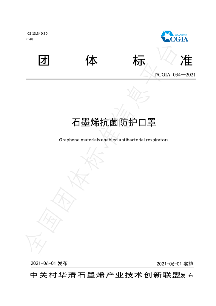 T/CGIA 034-2021 标准预览