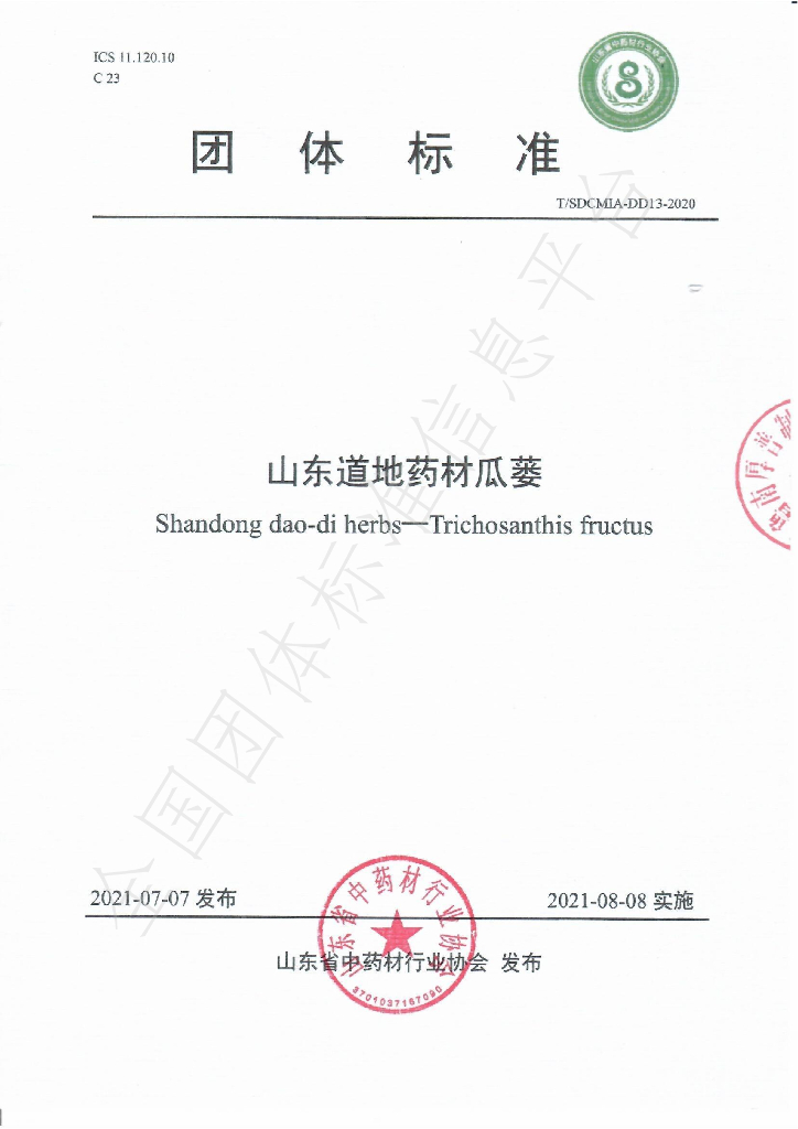 T/SDCMIA DD13-2020 标准预览