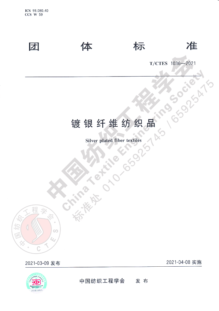 T/CTES 1036-2021 标准预览