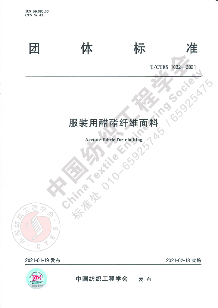 T/CTES 1032-2021 标准预览