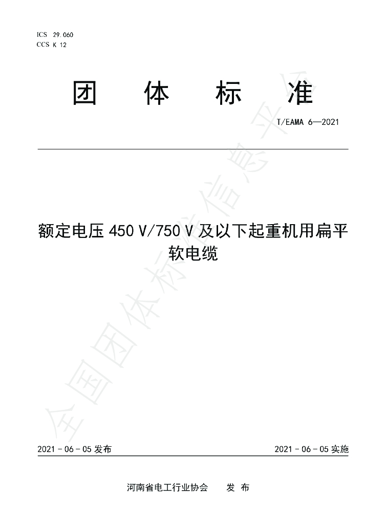 T/EAMA 6-2021 标准预览