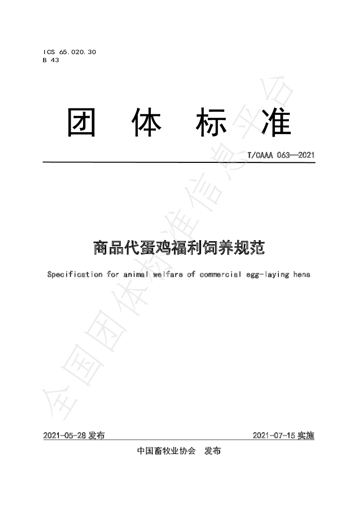 T/CAAA 063-2021 标准预览