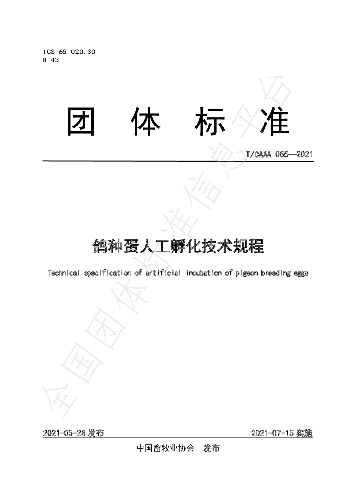 T/CAAA 055-2021 标准预览