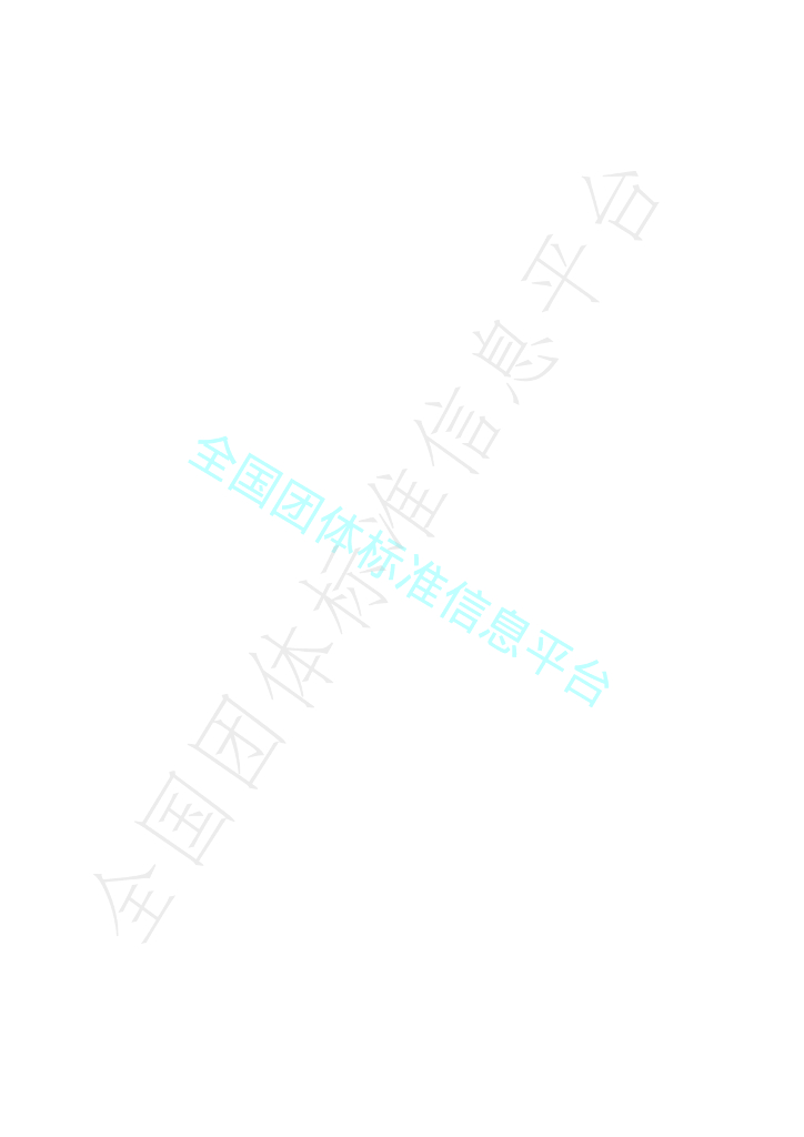 T/IEIA 0001-2021 标准预览