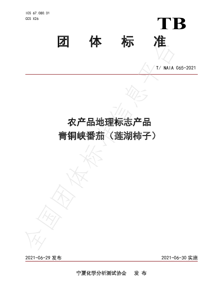 T/NAIA 065-2021 标准预览