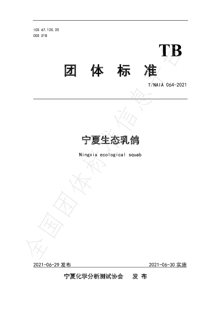T/NAIA 064-2021 标准预览