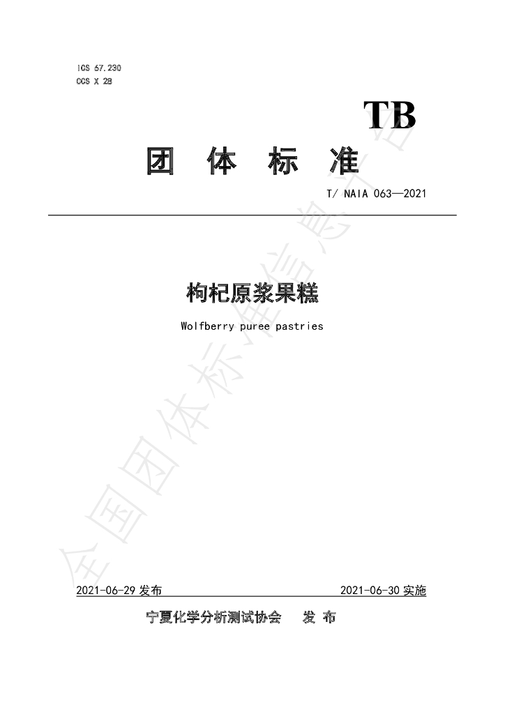 T/NAIA 063-2021 标准预览