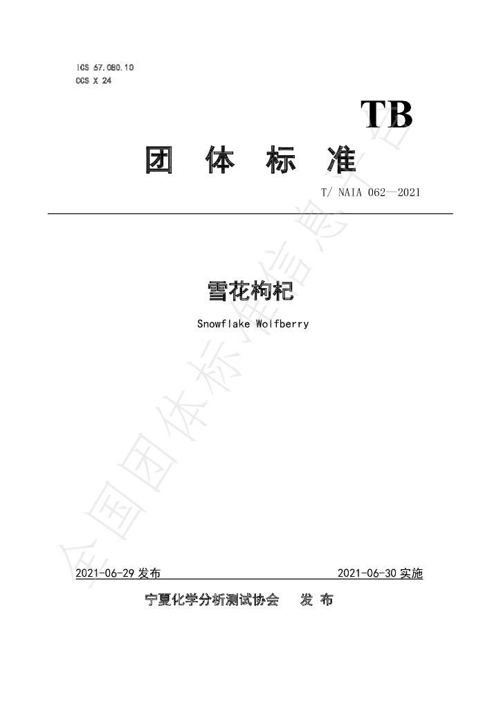 T/NAIA 062-2021 标准预览
