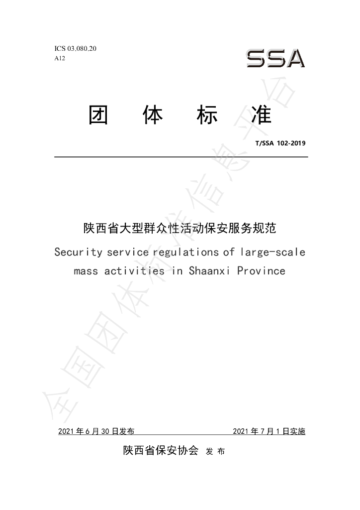 T/SSA 102-2019 标准预览