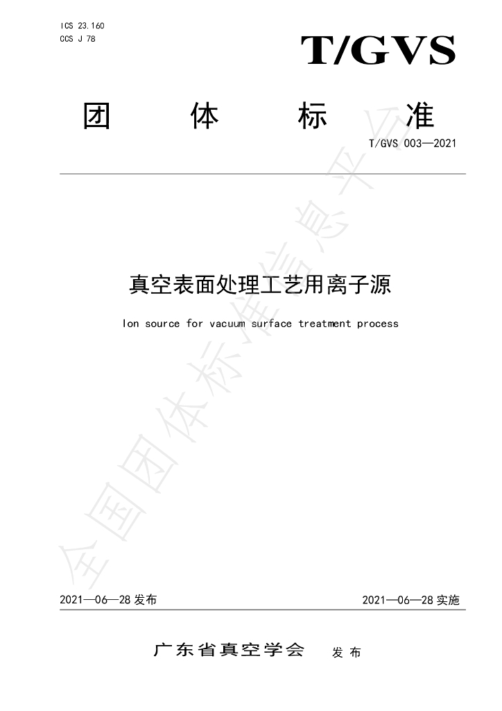T/GVS 003-2021 标准预览