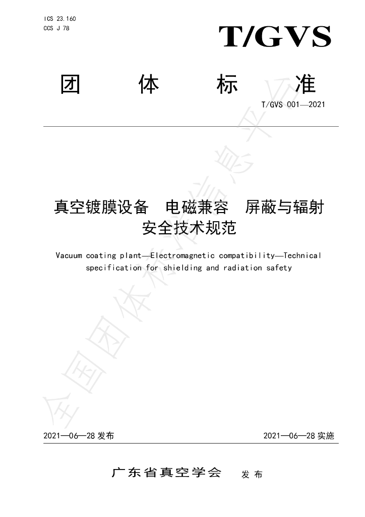 T/GVS 001-2021 标准预览
