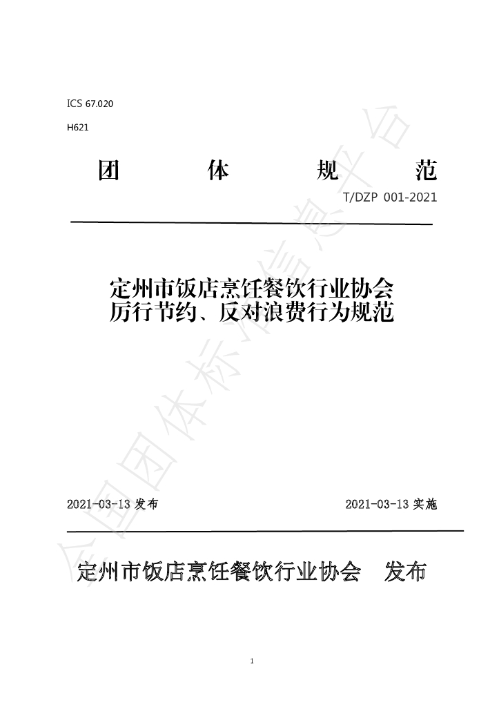 T/DPX 001-2021 标准预览