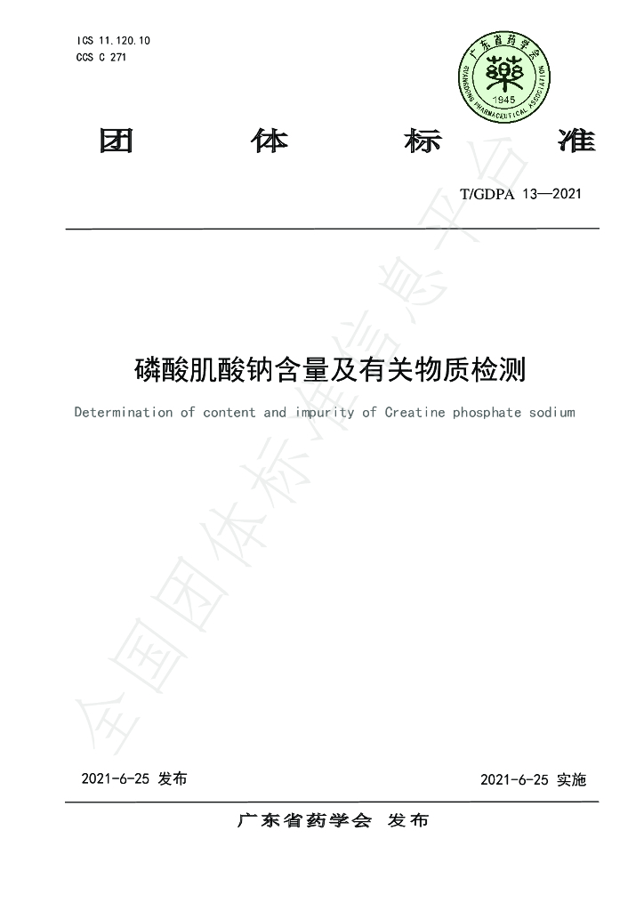 T/GDPA 13-2021 标准预览
