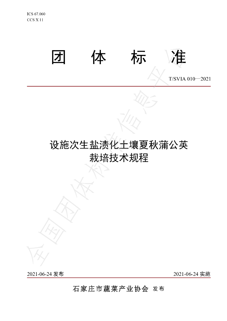 T/SVIA 010-2021 标准预览