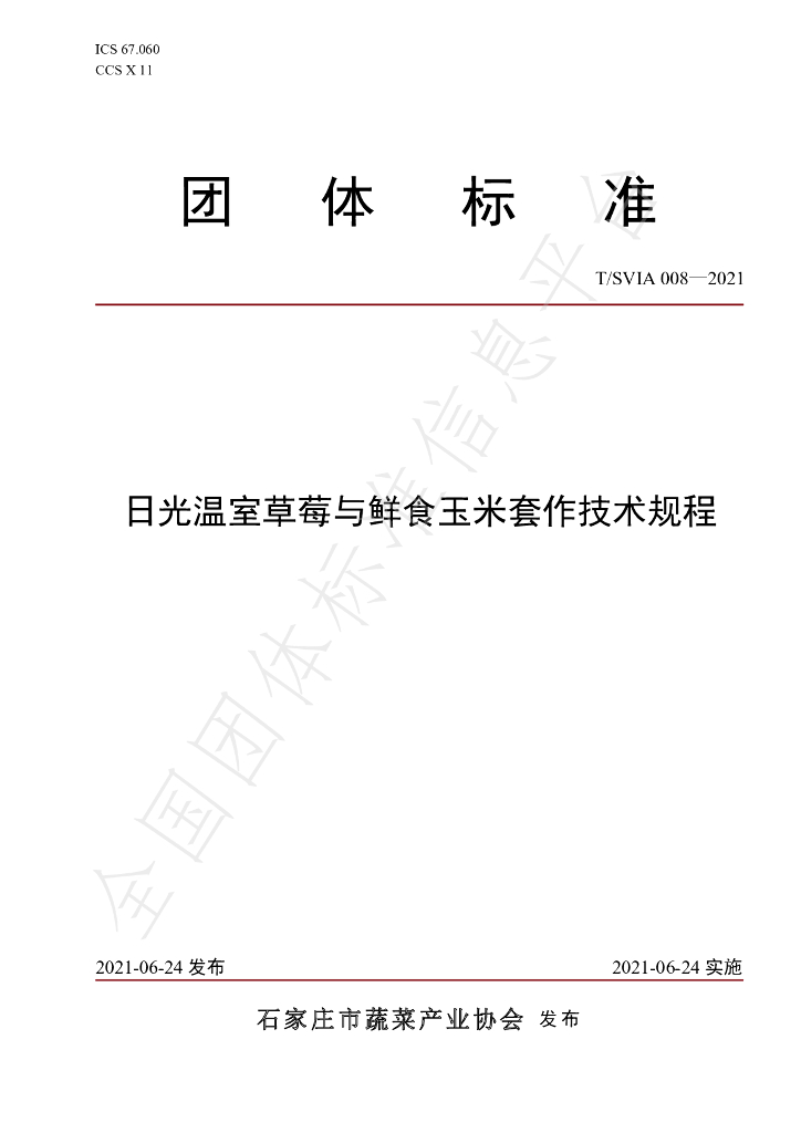 T/SVIA 008-2021 标准预览