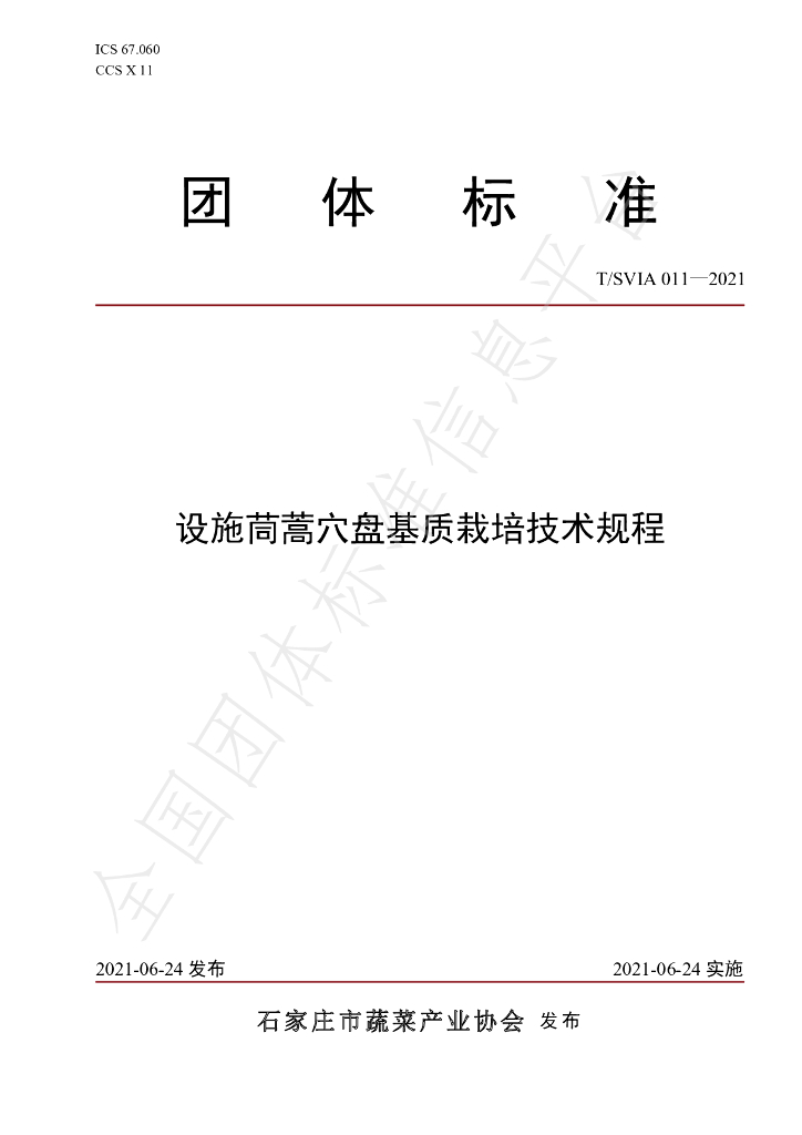 T/SVIA 011-2021 标准预览