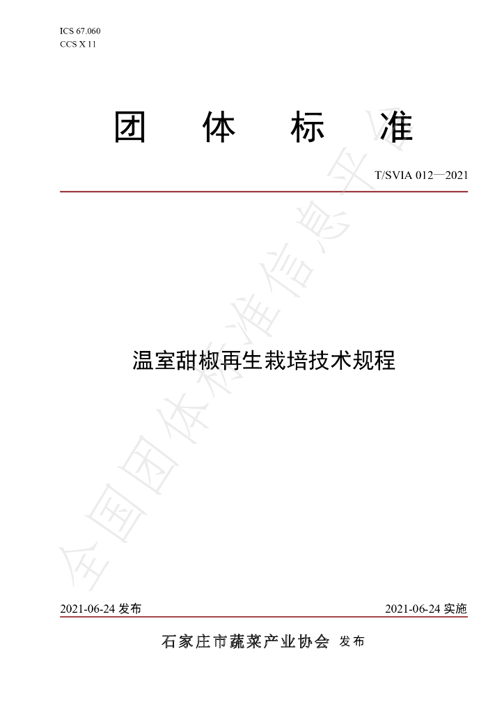 T/SVIA 012-2021 标准预览