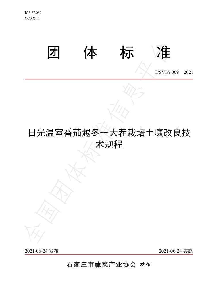 T/SVIA 009-2021 标准预览