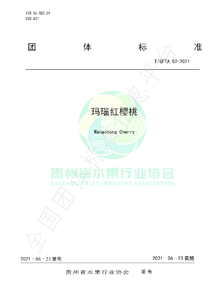 T/GFTA 02-2021 标准预览
