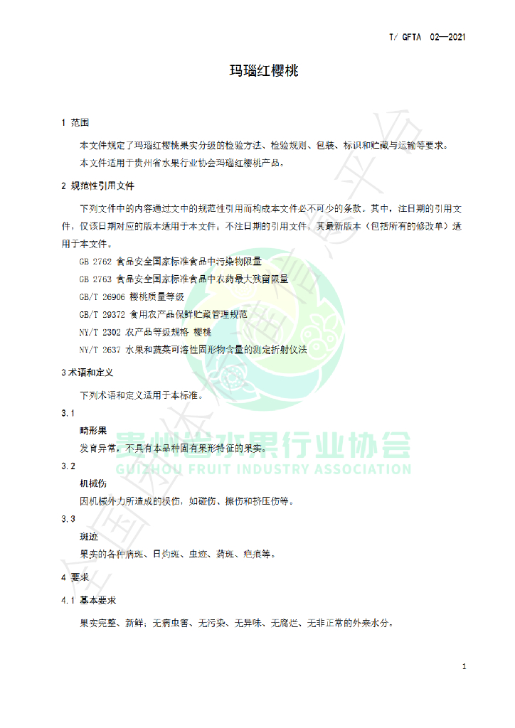T/GFTA 02-2021 标准预览