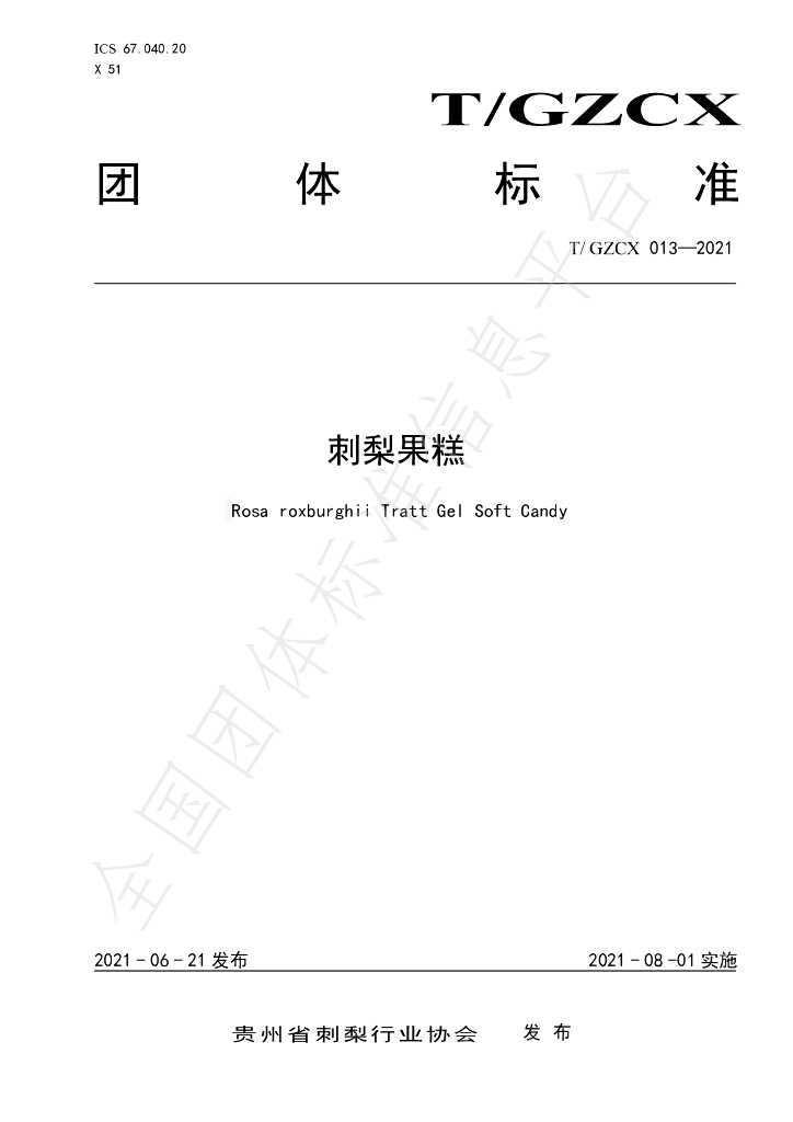 T/GZCX 013-2021 标准预览