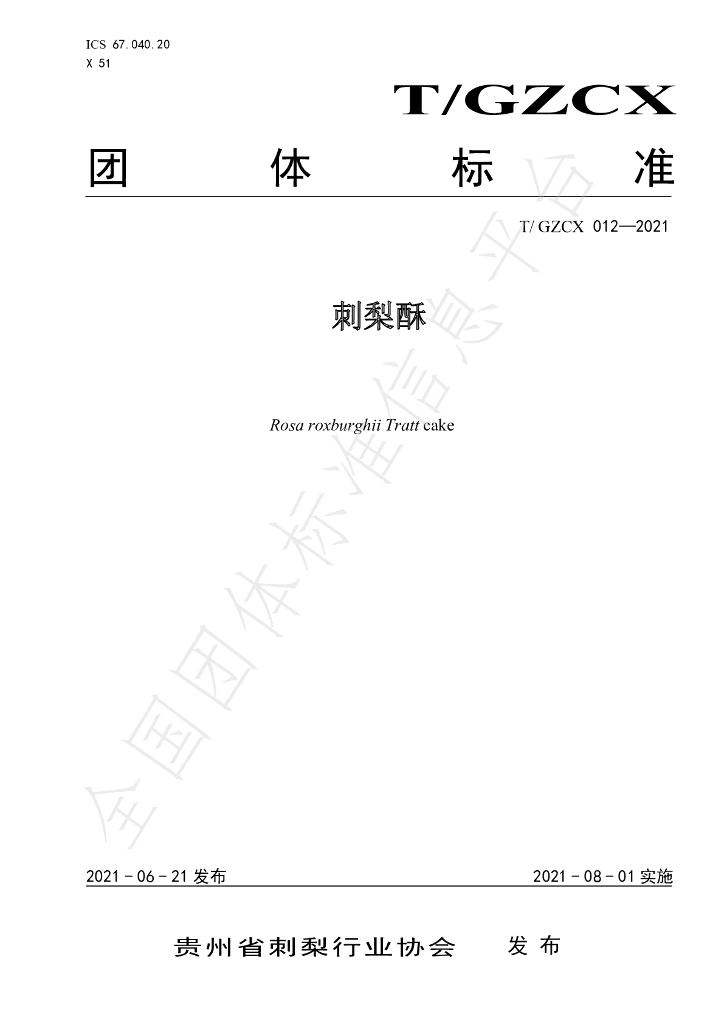 T/GZCX 012-2021 标准预览