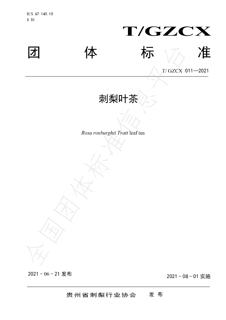 T/GZCX 011-2021 标准预览