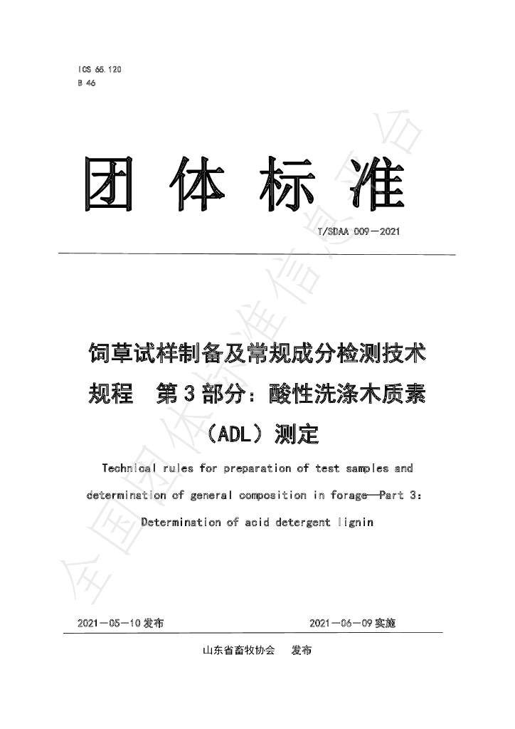T/SDAA 009-2021 标准预览