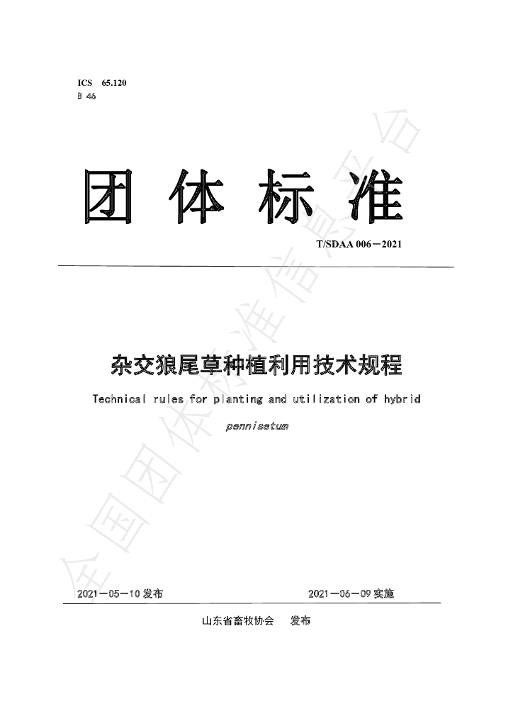 T/SDAA 006-2021 标准预览