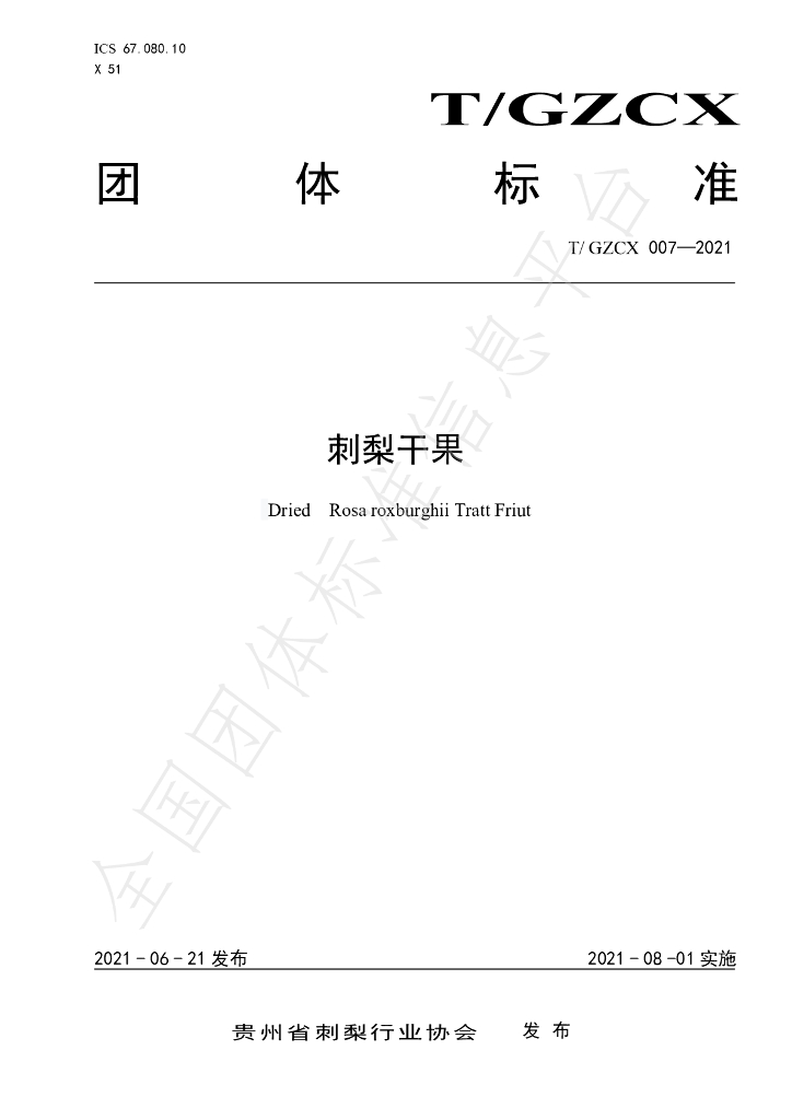 T/GZCX 007-2021 标准预览