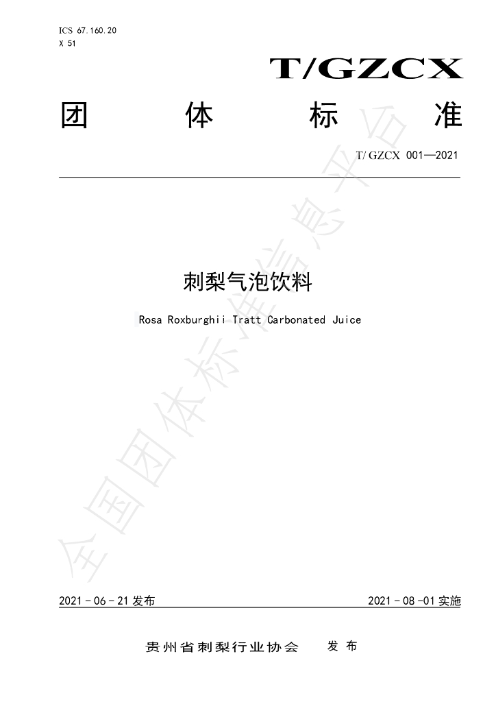 T/GZCX 004-2021 标准预览
