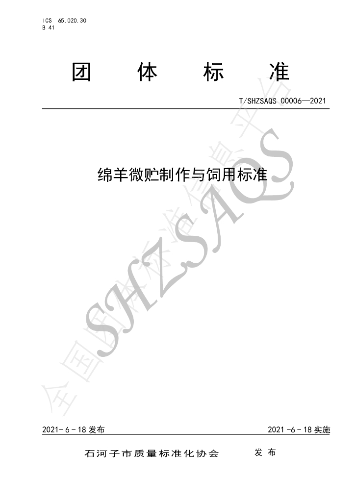 T/SHZSAQS 00006-2021 标准预览
