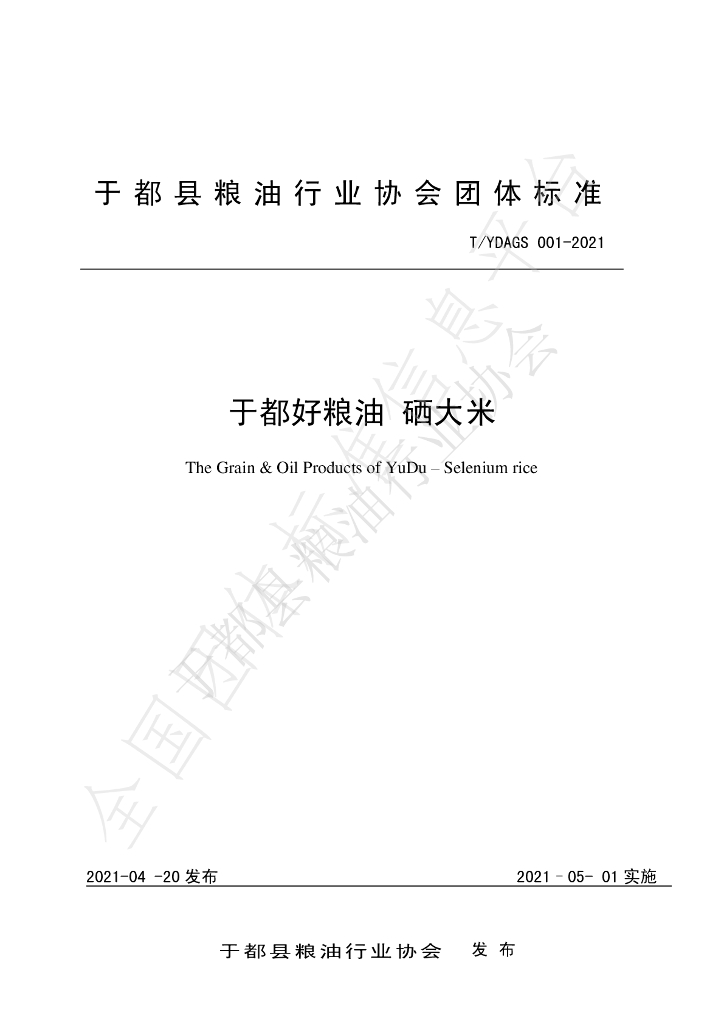 T/YDAGS 001-2021 标准预览