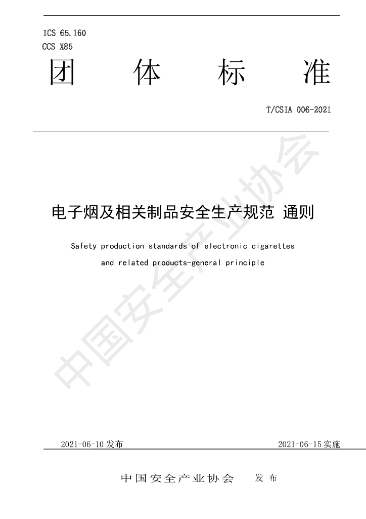 T/CSIA 006-2021 标准预览