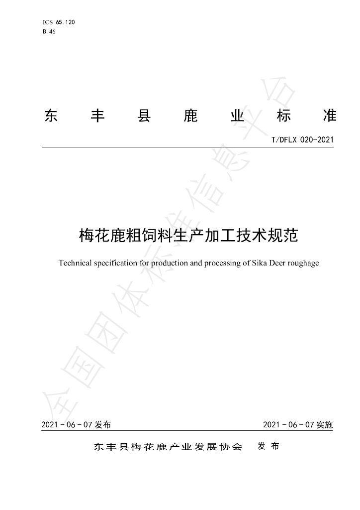 T/DFLX 020-2021 标准预览