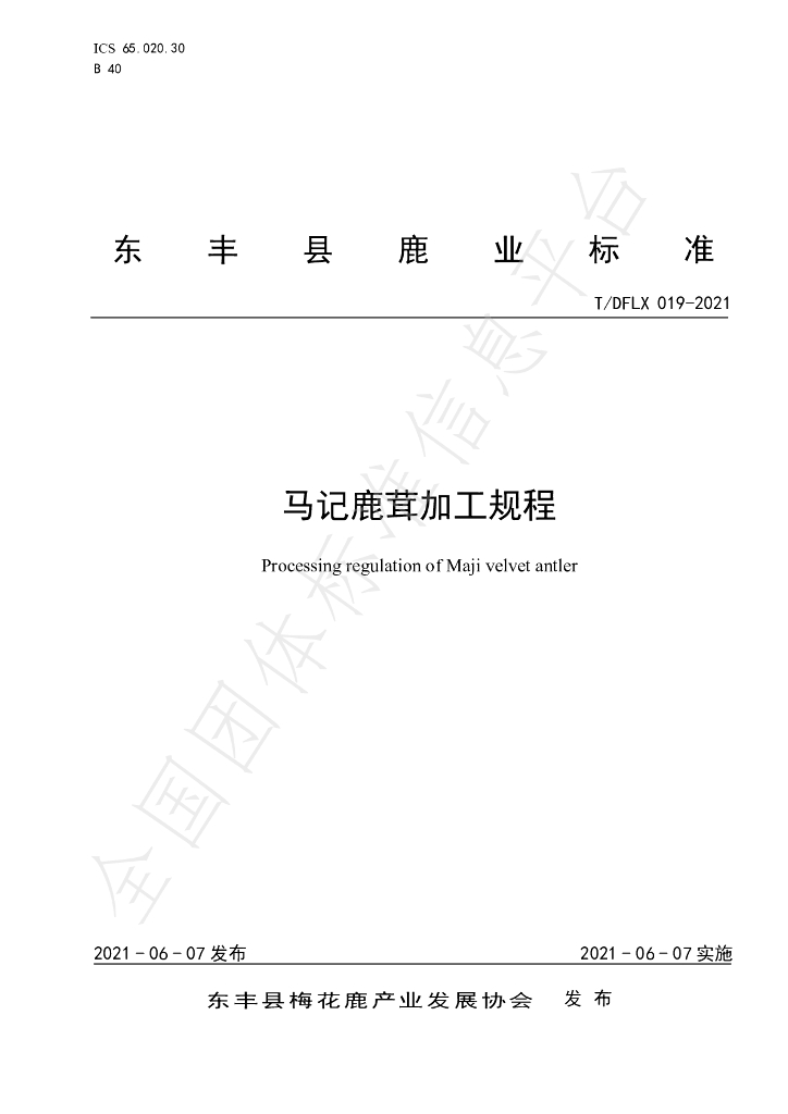 T/DFLX 019-2021 标准预览