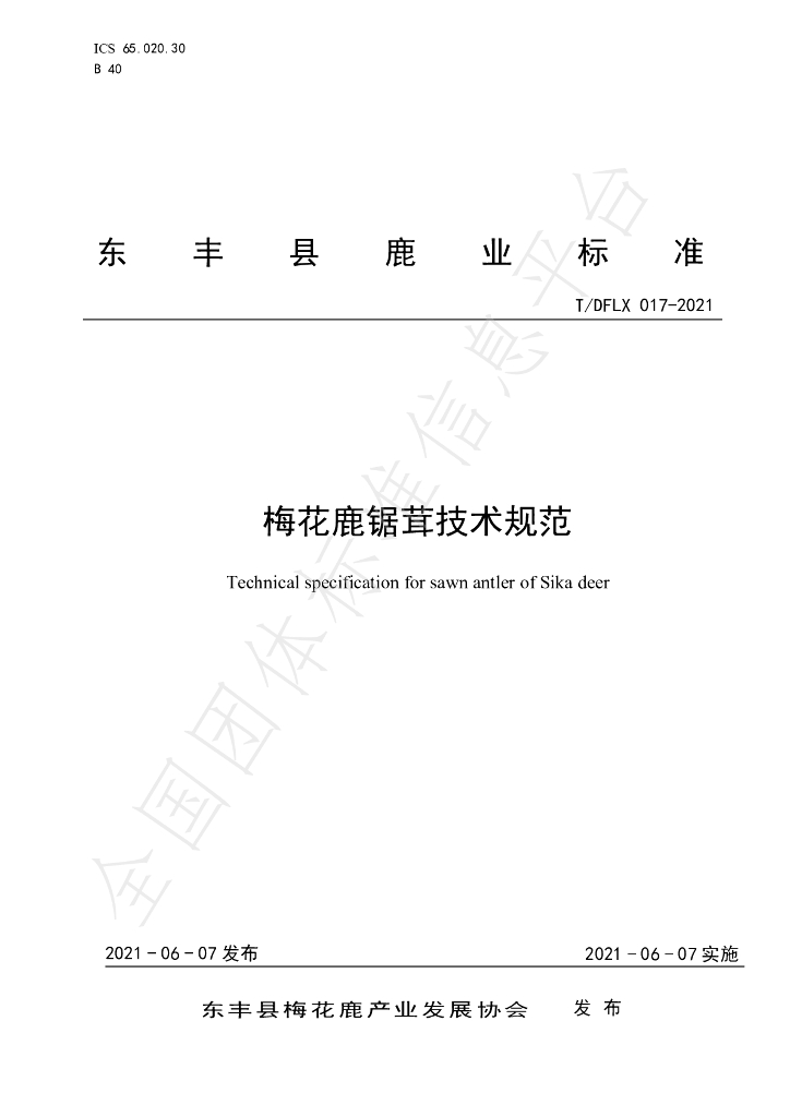 T/DFLX 017-2021 标准预览