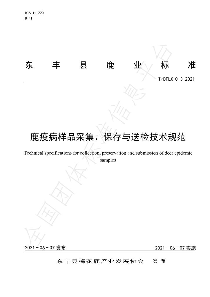 T/DFLX 013-2021 标准预览