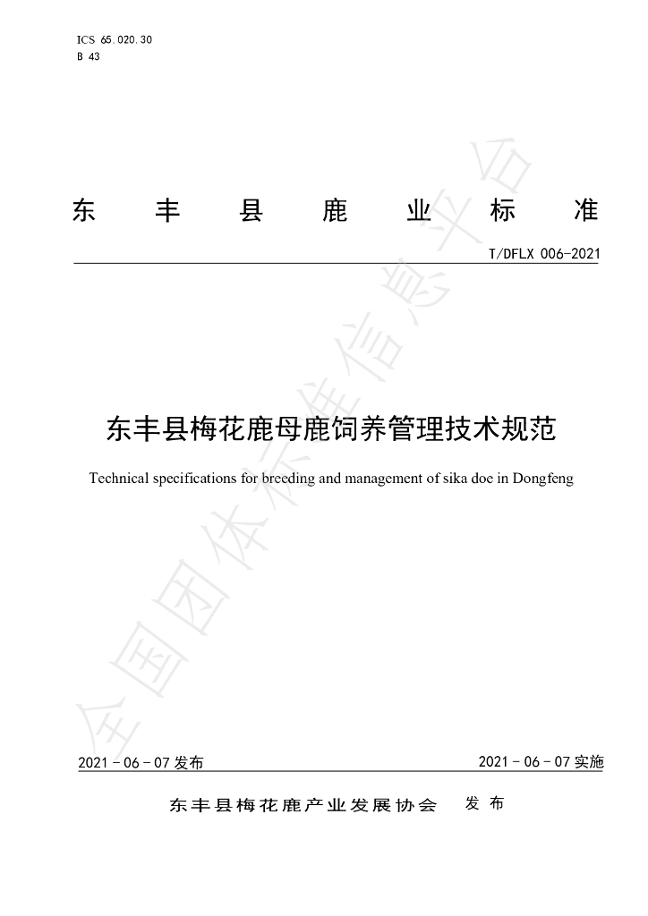 T/DFLX 006-2021 标准预览