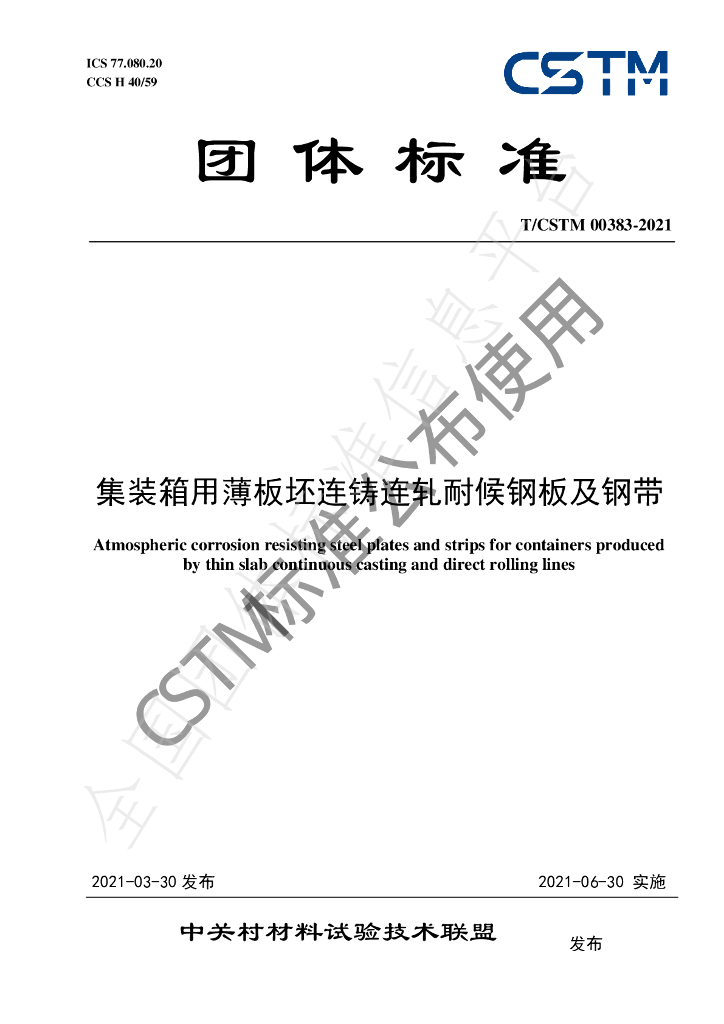 T/CSTM 00383-2021 标准预览