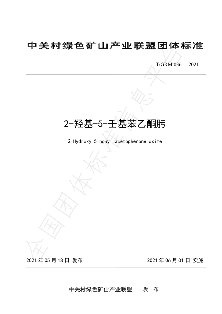 T/GRM 036-2021 标准预览